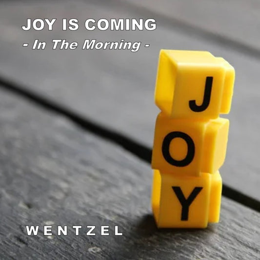 JOY IS COMING (In The Morning) - Single - Wentzel
